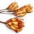 repens-cuts-czerwony-2.jpg