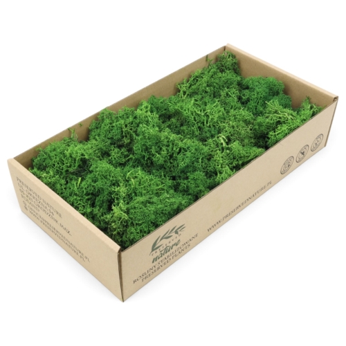 mech-chrobotek-florystyczny-lesna-zielen-300g-1.jpg