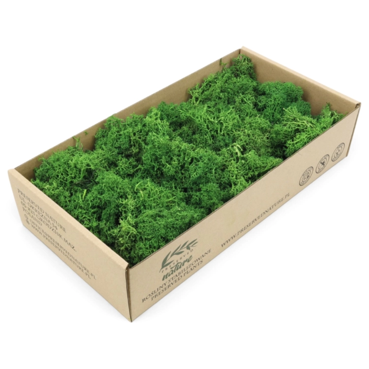mech-chrobotek-florystyczny-lesna-zielen-300g-1.jpg