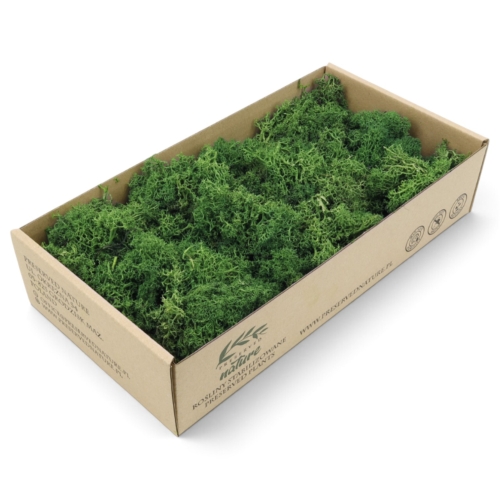 mech-chrobotek-florystyczny-ciemna-zielen-300g-1.jpg