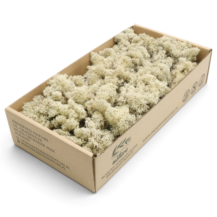 mech-chrobotek-florystyczny-naturalny-300g-1.jpg