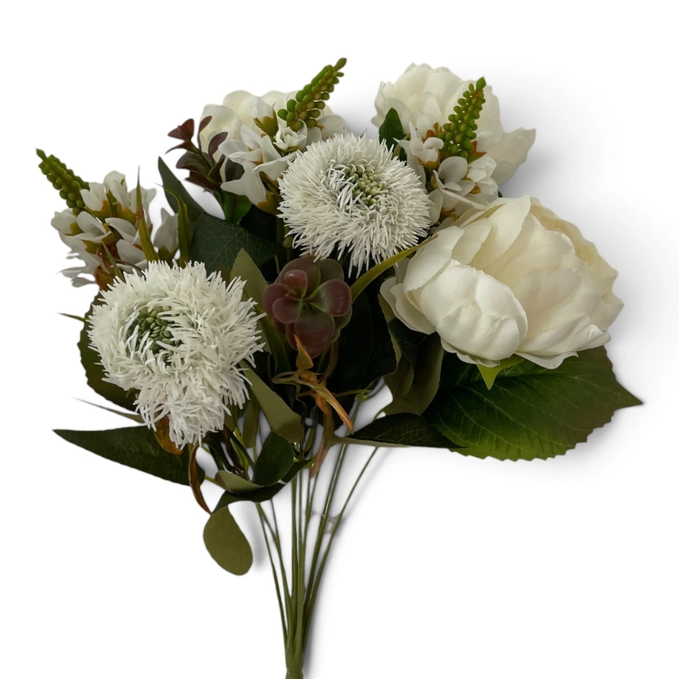 IMG_2517.jpg