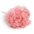 hortensja-anna-cabeza-jasny-roz-1.jpg