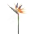 ANA1006#002#YELLOW ORANGE#1_m.jpg