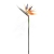 ANA1006#002#YELLOW ORANGE#2_m.jpg