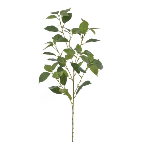 EUK010##GREEN#1_m.jpg