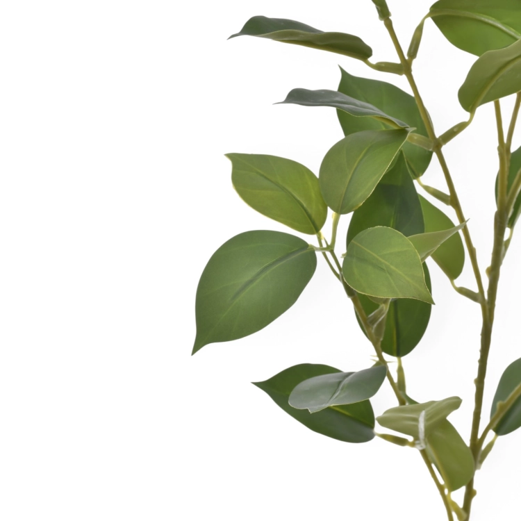 EUK010##GREEN#3_m.jpg