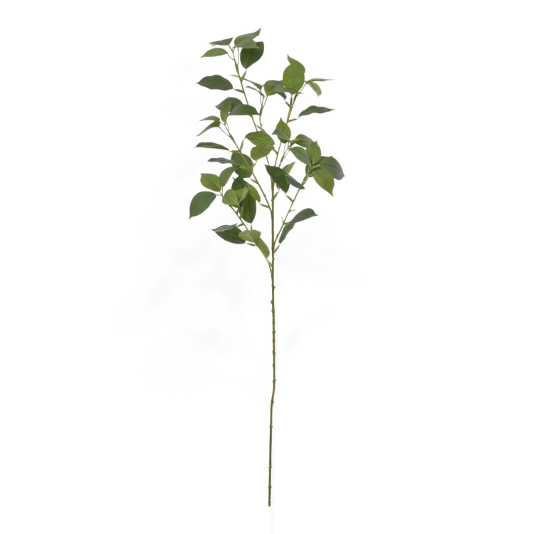 EUK010##GREEN#2_m.jpg