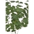 EUK012##GREEN#2_m.jpg