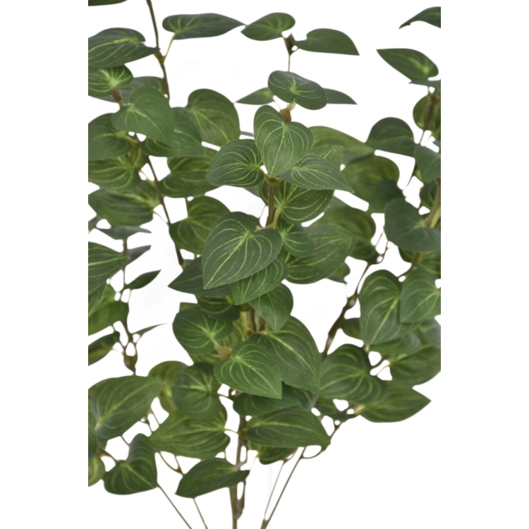 EUK012##GREEN#2_m.jpg