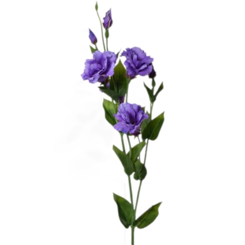 SUN345#1845#VIOLET_t.jpg