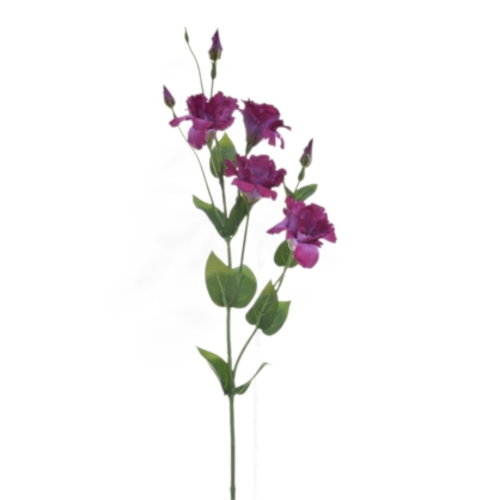 SUN345#1180#PURPLE_t.jpg