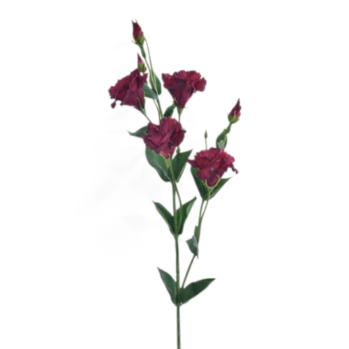 SUN345#2914#DEEP BURGUNDY_t.jpg