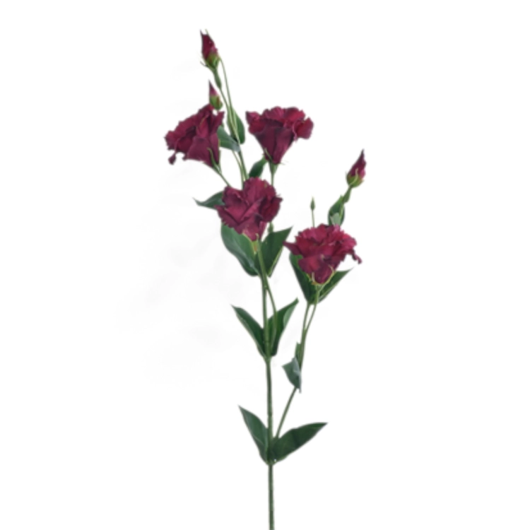 SUN345#2914#DEEP BURGUNDY_t.jpg