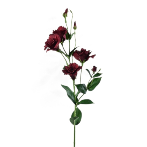 SUN345#3129#CHERRY CHOCOLATE_t.jpg