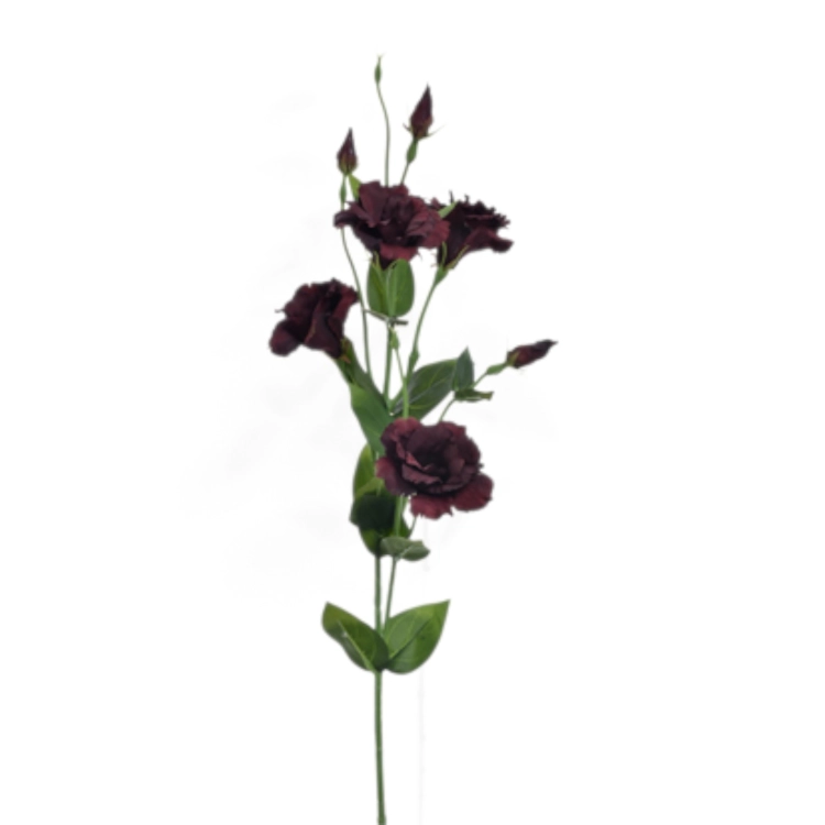 SUN345#3121#RED WINE_t.jpg