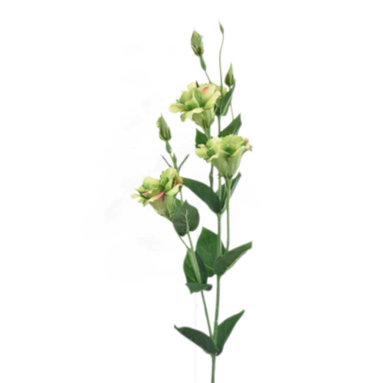 SUN345#3123#GREEN BURN COFFEE_t.jpg