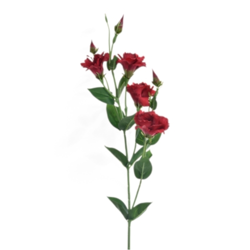 SUN345#2050#RED GREEN_t.jpg
