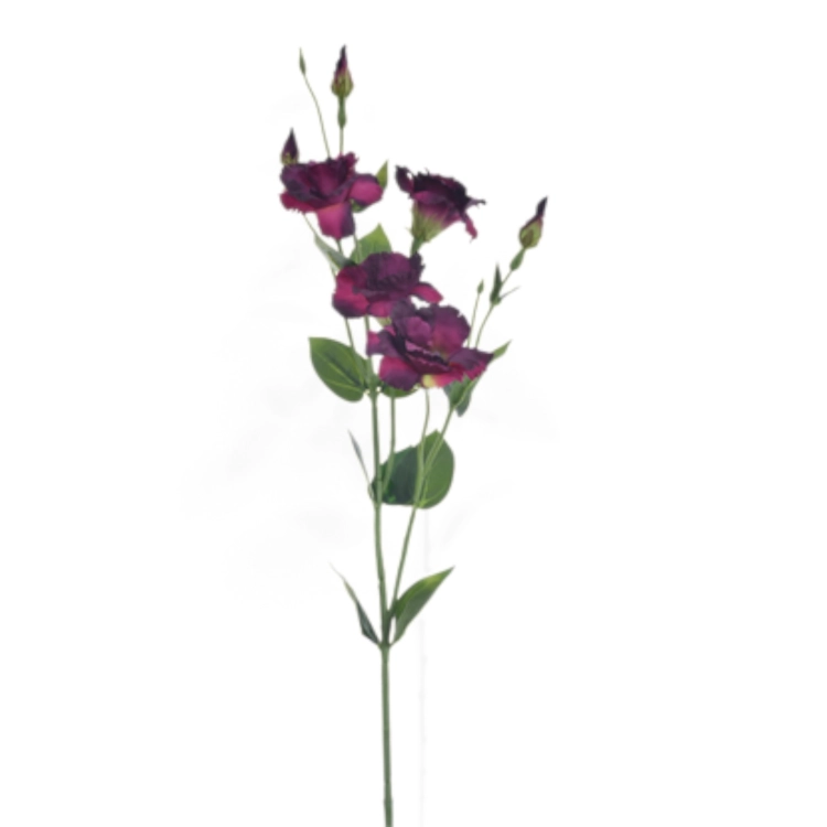 SUN345#1279#PURPLE GREEN_t.jpg