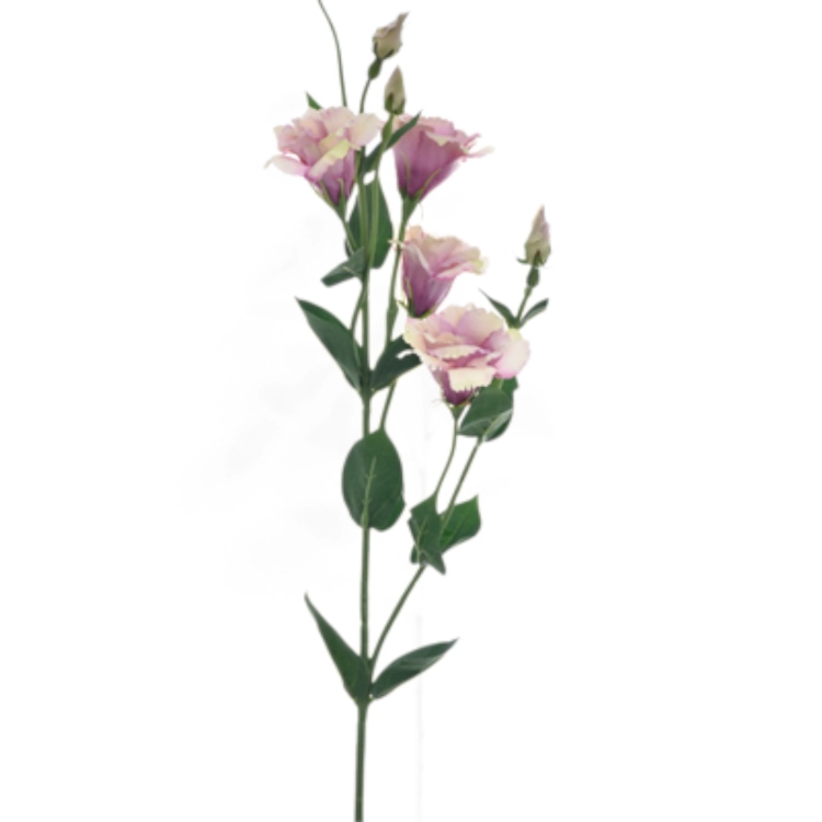 SUN345#2026#POWDER PINK GREEN_t.jpg