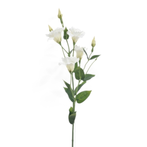 SUN345#1175#WHITE_t.jpg
