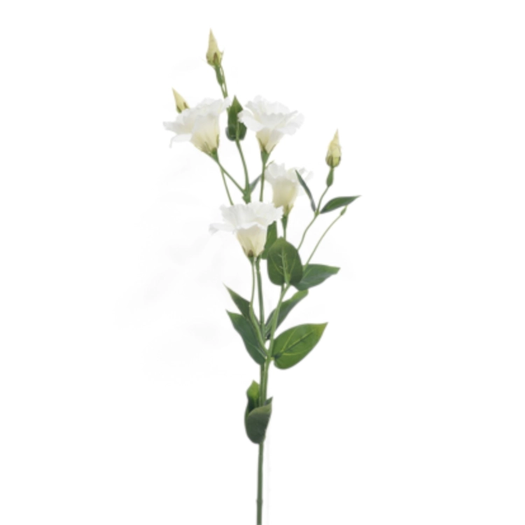 SUN345#1175#WHITE_t.jpg