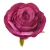 SUN891#3004#SWEET FUCHSIA#1_m.jpg