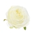 SUN891#1884#CREAM GREEN#1_m.jpg