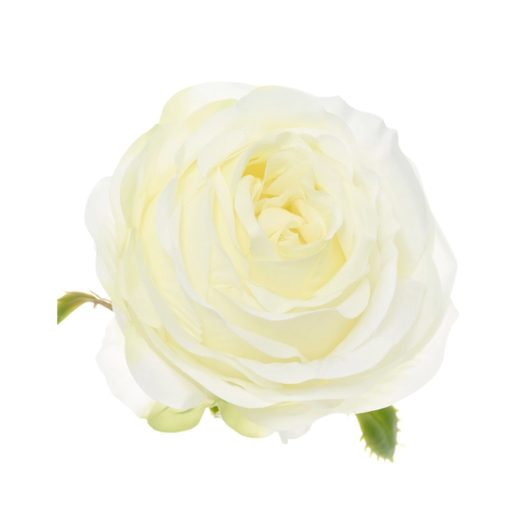 SUN891#1884#CREAM GREEN#1_m.jpg