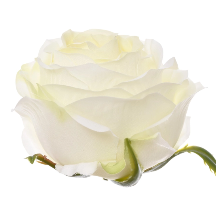 SUN891#1884#CREAM GREEN#2_m.jpg