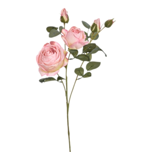 TAJ1036##PINK_t.jpg