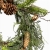 IMG_7263-Photoroom.jpeg
