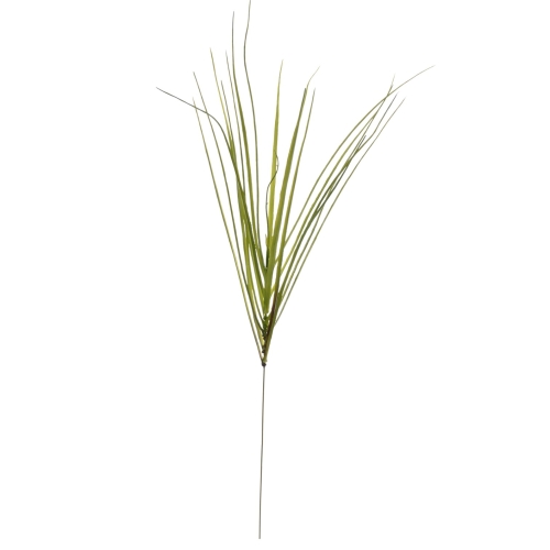 JUN094##GREEN#1_m.jpg