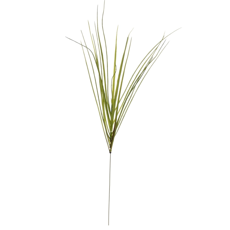 JUN094##GREEN#1_m.jpg