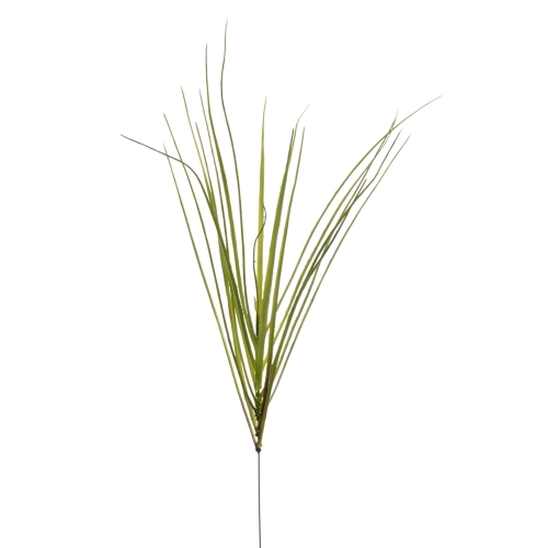JUN094##GREEN#2_m.jpg