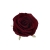 ART275##DR RED#1_m.jpg