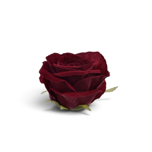 ART275##DR RED#2_m.jpg