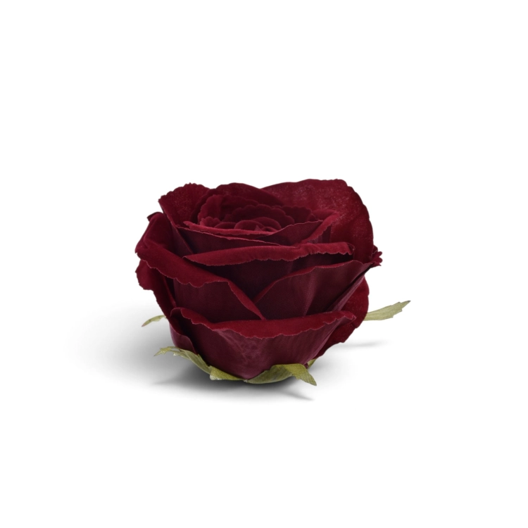 ART275##DR RED#2_m.jpg