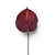 TPY3004##MIX1#4_t.jpg