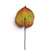 TPY3004##MIX1#7_t.jpg