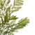 JUN118#1#GREEN#2_m.jpg