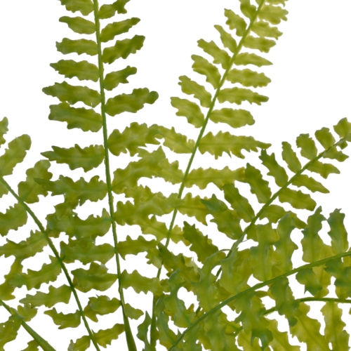 JUN088##GREEN#2_m.jfif.jpg