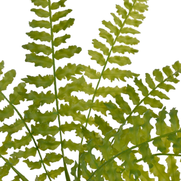 JUN088##GREEN#2_m.jfif.jpg