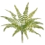 JUN088##GREEN#1_m.jfif.jpg