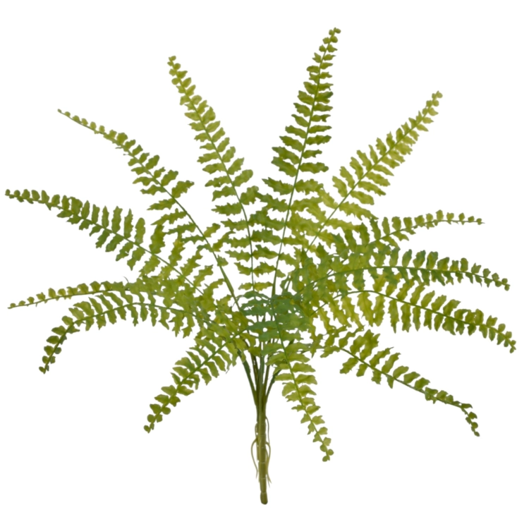 JUN088##GREEN#1_m.jfif.jpg