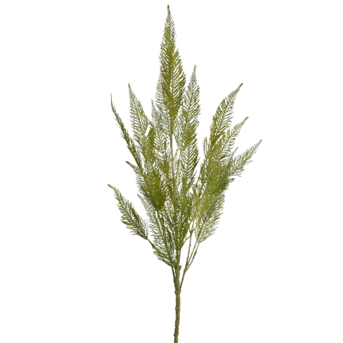 JUN105##GREEN_m.jfif.jpg