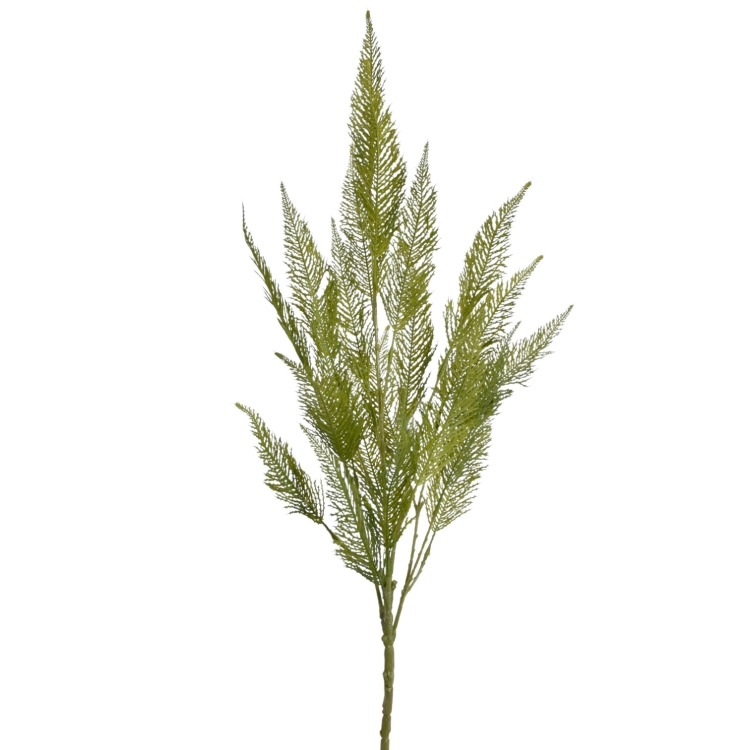 JUN105##GREEN_m.jfif.jpg