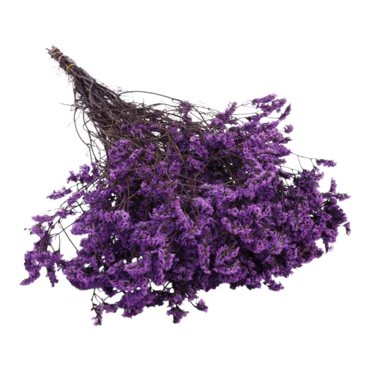 limonium-sinesis-fioletowy-1-1.jpg