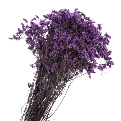 limonium-sinesis-fioletowy-2.jpg