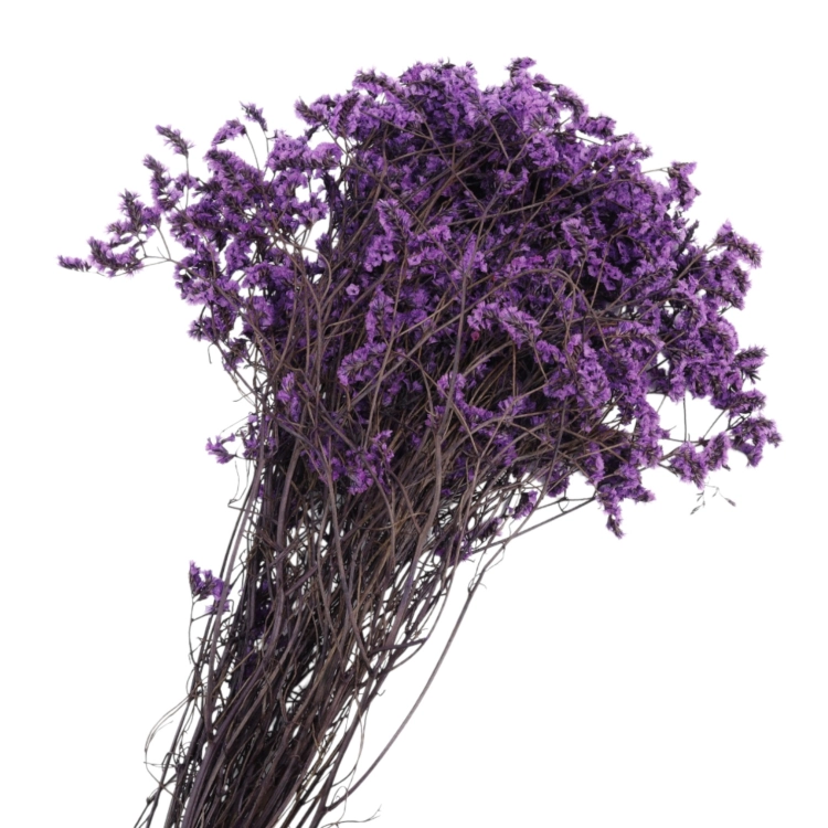 limonium-sinesis-fioletowy-2.jpg